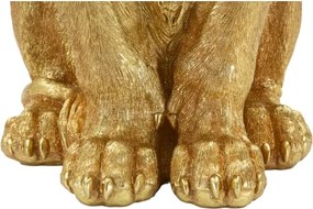 Re Leone Shant Cm 30X42X74