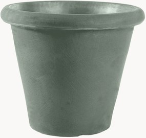 Portavaso Camelia