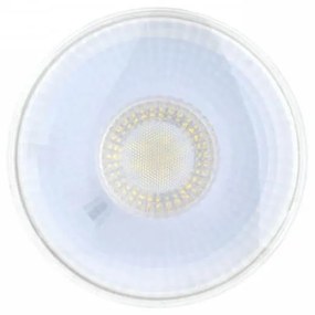 Lampada LED PAR30 12W, 38° Colore  Bianco Caldo 2.700K