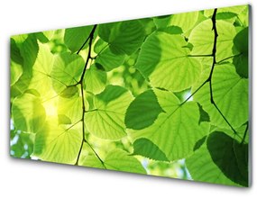 Quadro acrilico Foglie di piante naturali 100x50 cm