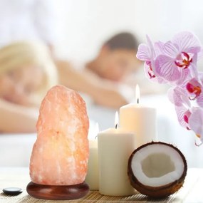 Lampada al sale SALLY 1xE14/25W/230V