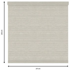 Tessuto per tende a rullo filtrante INSPIRE Darwin beige 217 x 250 cm