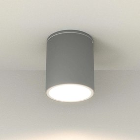 Applique da soffitto Cilindrica PAR30 IP54 in Alluminio e Vetro - Grigia