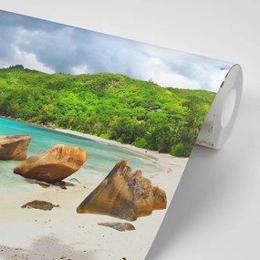 Carta da parati autoadesiva – Seychelles tropicali