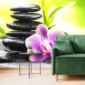 Carta da parati – Composizione zen meditativa