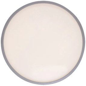 Rabalux 75010 - Plafoniera LED LARCIA LED/18W/230V IP44 4000K argento