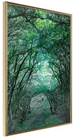 Poster  Tree Tunnel  Cornice Quadri Cornice d'oro, Larghezza x Altezza Home decor 20x30