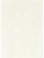 Clarke & Clarke Carta da parati Marmor