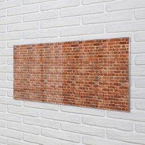 Quadro acrilico Vintage muro di mattoni 100x50 cm