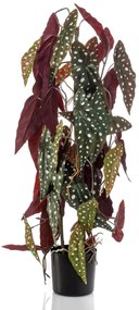 Begonia Maculata Artificiale 75 Cm İn Vaso /