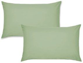 Federe per cuscino in set in percalle 2 pz 75x50 cm Easy Iron Percale – Catherine Lansfield