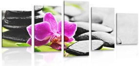 Quadri 5 pezzi – Natura morta wellness con orchidea viola