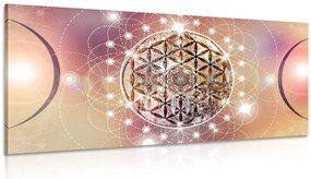Quadro su tela – Mandala affascinante