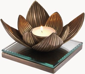 Portalumino Lotus