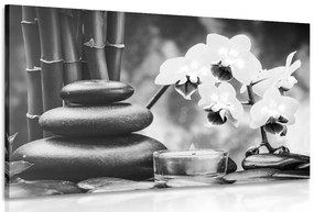 Quadro su tela – Natura morta spa in bianco e nero