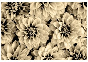 Carta da parati autoadesiva – Fiori di dalia in versione seppia