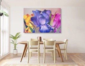 Quadro su tela – Fantasia floreale