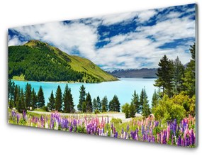 Quadro su vetro acrilico Paesaggio del lago della foresta di montagna 100x50 cm