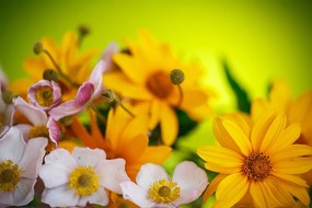 Carta da parati autoadesiva – Bouquet estivo