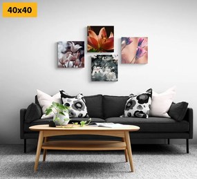 Set di quadri – Delicatezza dei fiori