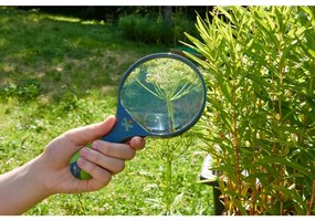 Terra Kids - Lente per bambini