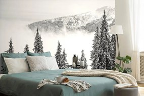 Carta da parati – Alberi di pino innevati bianco e nero