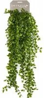 Emerald Ficus Pumila Artificiale 80 cmcod mxl 79239