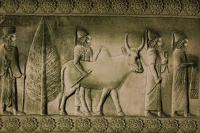 Tabriz Tappeto 70x50 (Iran) Annodato A Mano