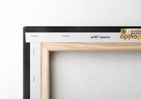 Quadro su tela – Aquila nero-oro