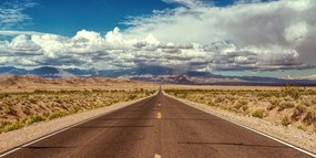 Stampa su tela – Sentiero nel deserto