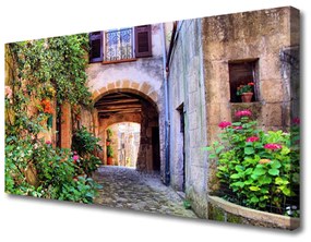 Quadro stampa su tela Vicolo. Fiori. Case 100x50 cm