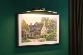 Paulmann 95561 - LED/10W Lampada per quadri BENTO 230V 50 cm ottone