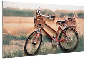 Dipinto su tela Bici in campagna, rosso, marrone 60 x 120 cm