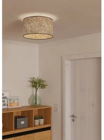 Eglo 43935 - Plafoniera BUTTERBURN 1xE27/25W/230V