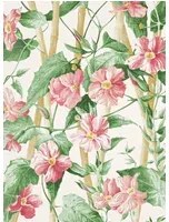 Manuel Canovas Carta da parati Elena - Peche