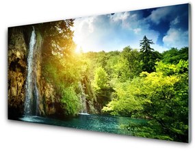 Rivestimento parete cucina Paesaggio degli alberi della cascata 100x50 cm