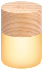 Decorazione luminosa di colore naturale con ricarica USB ø 4,5 cm Lemelia – Gingko