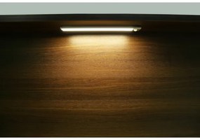 Globo 42409 - LED dimmer ricaricabile TRISTAN 2,5W/5V 1100mAh 40 cm