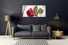 Quadro in vetro acrilico Natura della pianta del fiore della rosa 100x50 cm