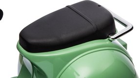 Piaggio Vespa con Sidecar Small Elettrica 6V per Bambini Verde...
