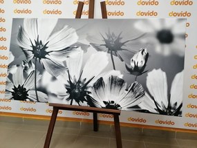 Quadro su tela – Fiori da giardino in bianco e nero