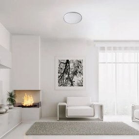 Rabalux 71127 - Lampada LED da soffitto ENGON 18W 230V 4000K argento 27 cm