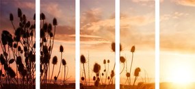 Quadri 5 pezzi – Steli d'erba all'alba
