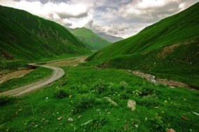 Carta da parati autoadesiva – Paesaggio verde