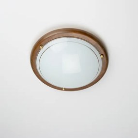 Rabalux 5417 - Plafoniera UFO E27/60W/230V