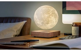 Decorazione luminosa marrone con alimentazione a corrente ø 12 cm Moon – Gingko