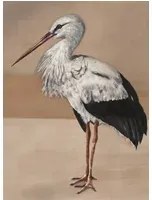 Coordonne Carta da parati panoramica Stork Mother - Nude