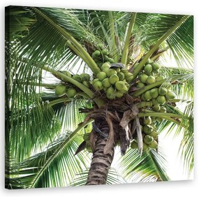 Quadro su tela, Palma da cocco