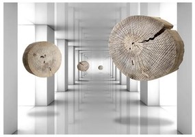 Fotomurale adesivo  Inventive Corridor  Larghezza x Altezza Home decor 294x210