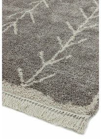 Tappeto grigio 200x290 cm Rocco - Asiatic Carpets